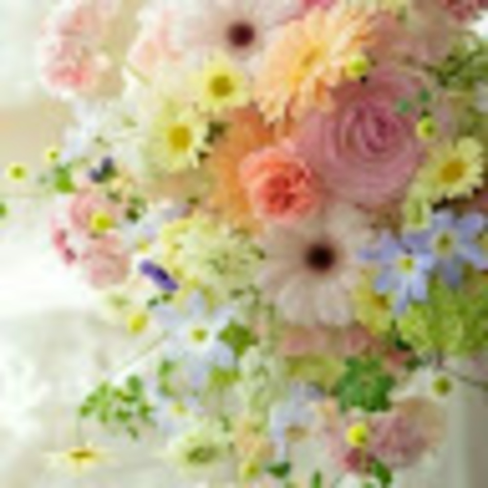 Meet your Posher, Catherine